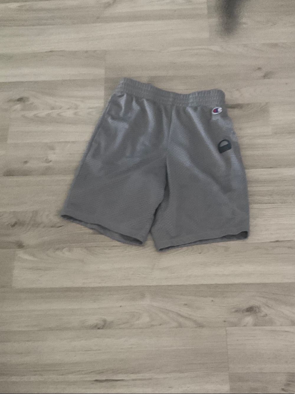 Champion Gray Mesh Athletic Shorts with Logo
